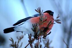0_4ba19_75e6084c_L.jpg