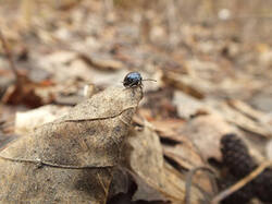 0_ca282_57f007cd_M.jpg