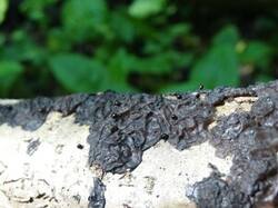 0_186e5c_ea24359b_M.jpg