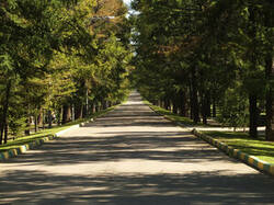 0_ce354_9f764b98_M.jpg