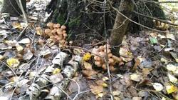 0_12484b_4258add2_M.jpg