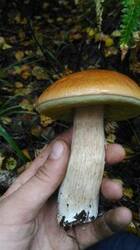 0_18494d_ce4fc659_M.jpg