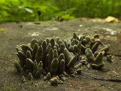 0_d6200_973fc544_M.jpg