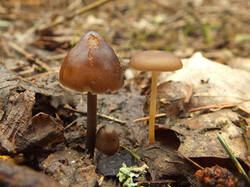 0_110535_5c5712fa_M.jpg