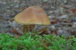 0_1be932_cb7b0737_M.jpg