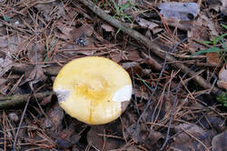 0_1618ec_40d23210_M.jpg