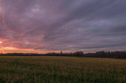 0_1a4c91_cb8075f8_M.jpg