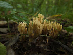 0_24470b_56df7ba0_M.jpg