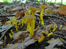 0_18f2c6_48514b6c_M.jpg