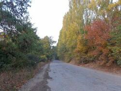 0_b85f0_9092b1d7_M.jpg