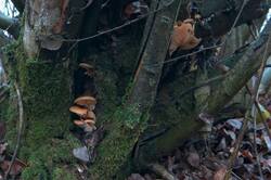 0_31f6da_504cf521_orig.jpg