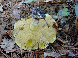 0_18dec8_c6303e5b_M.jpg