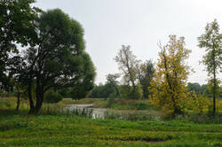 0_1eeb1d_956b5dde_M.jpg