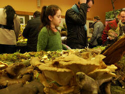 0_cff15_597e3e5f_M.jpg