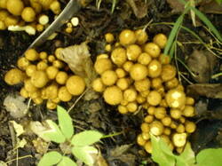 0_ab80b_2476c4ec_M.jpg