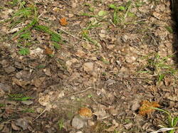 0_ec175_3d929770_M.jpg
