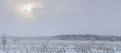 0_1f58a5_28996697_L.jpg