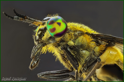 48451430796_eae010cca0_o.png