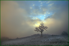 49371370781_5891f5ccd3_o.png