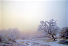 49371576952_fd286e9f8b_o.png