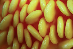 49779742966_8b1f803e32_o.png
