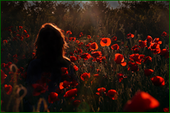 49914720513_278c8c8bb6_o.png