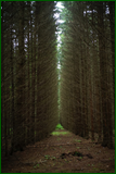50124313558_a1a3bb14c6_o.png