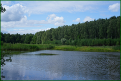 50125121267_f6d6953eef_o.png