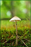 50199889077_fdd0932e5f_o.png