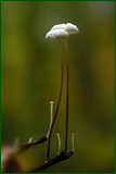 50550376316_7443de769f_o.png