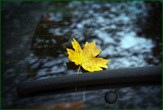 50567977148_471e3e9c5a_o.png