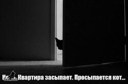 DVmJ8jKXUAAKePG.jpg