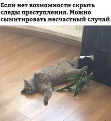 nJPtjvvMQJ8.jpg
