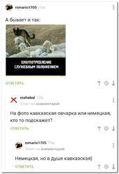 15355822.jpg