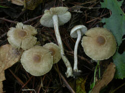 JHC2006-285699_SJiXWdKQW.JPG