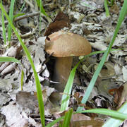 P1200387.jpg