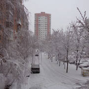 DSC06891.jpg