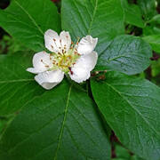 DSC08165.jpg