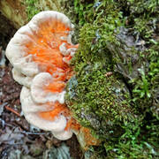 DSC08182.jpg