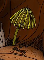 Palaeoagaracites_antiquus.JPG