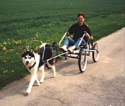 Hundewa.jpg