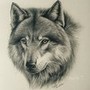 SinglWolf