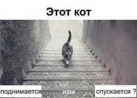 post-2215-0-19162000-1427618693_thumb.jpg