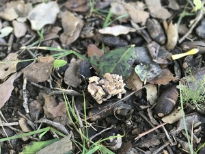 IMG_0384.JPG