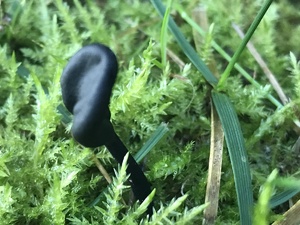 IMG_0402.JPG
