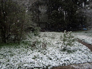 IMG_8792.JPG