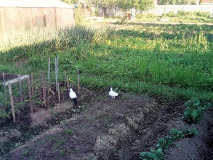 IMG_20170618_183009 (2).jpg