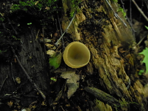 DSCN0795.JPG