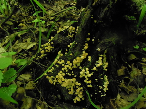 DSCN0840.JPG