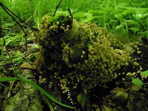 DSCN0842.JPG